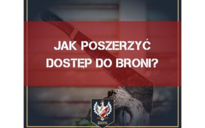 Jak poszerzyć dostęp do broni?