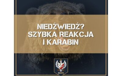 Niedźwiedź? Szybka reakcja i karabin